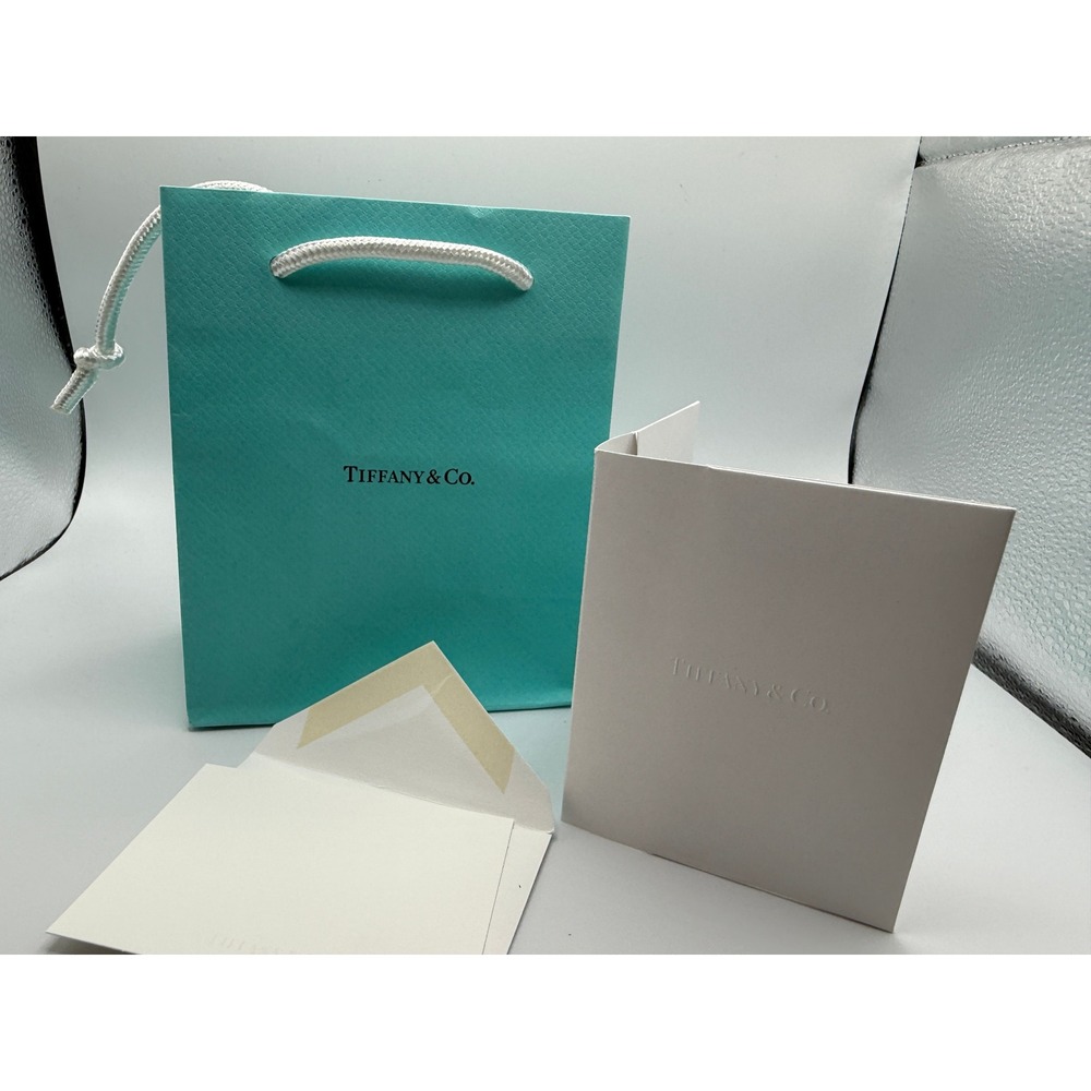 Tiffany & Co Small Blue Shopping Bag and Embossed Stationery Gift‎ Set